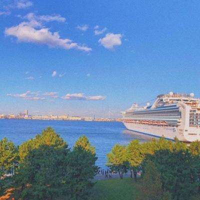 押注篮球的app下载手机版