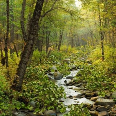 江南娱乐登录注册