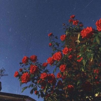 澳门银银河官方网welcome下载手机版