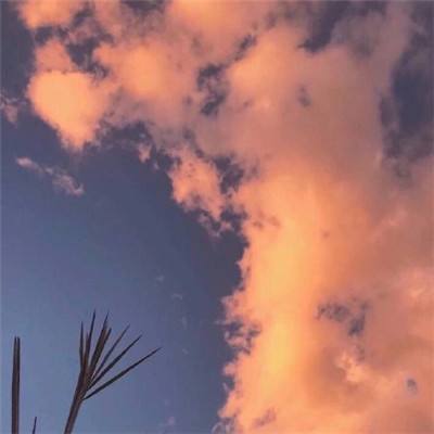 365在线手机app下载