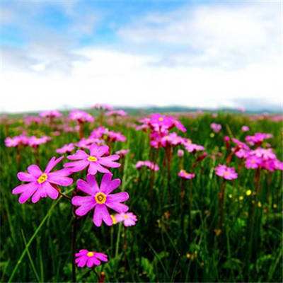 开运·kaiyunapp下载