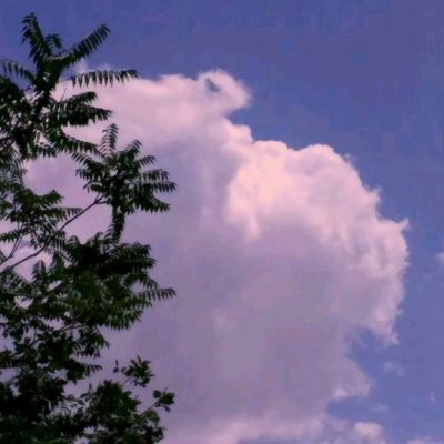 Kaiyun下载手机版